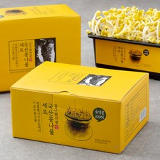김구원선생 국산 콩나물 키우기 세트, 250g, 2개
