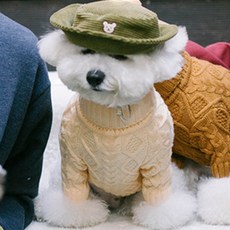 AMYLOVESPET 伍迪莫克波拉, 面霜