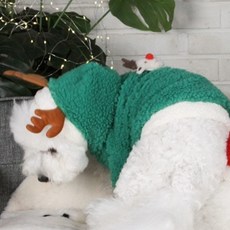 AMYLOVESPET 寵物魯道夫連帽衫, 綠色, 1個