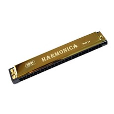 Gonabi 入門款口琴 24孔, 金色, GNB-24, 1套