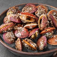 다복 바다를 담은 홍가리비, 1kg, 1박스