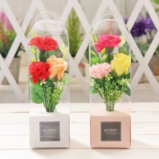 Inrico 小康乃馨花盒 2 件套, 紅色, 粉色