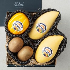 더로얄 베이직 혼합과일 망고 2입 + 참외 + 키위 2입 4호 선물세트, 1.15kg, 1세트