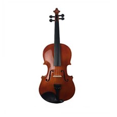 五色雲杉成人練習小提琴 4/4 含有琴盒全組, 單一顏色, 單品
