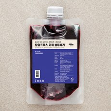 얼리지 않아 살아있는 과육듬뿍 수제과일청 달달프루츠 카페 블루베리, 300g, 1개