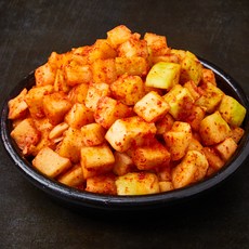 선우용녀의 마음담은 맛있는 깍두기, 5kg, 1개