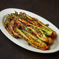 선우용녀의 마음담은 맛있는 갓김치, 1kg, 1개