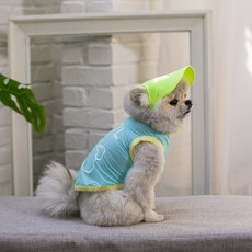 Grooming Dog Amylovespet 寵物螢光遮陽帽, 黃色