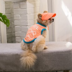 Amy Loves Pet 寵物霓虹遮陽帽, 橘色