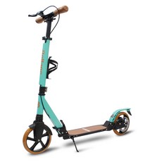 NEWSTAR 2022年經典滑板車, 薄荷綠