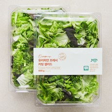 조인 무농약 인증 유러피안 프레시 커팅샐러드, 300g, 2개