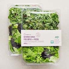 조인 무농약 인증 유러피안 프레시 커팅샐러드 + 어린잎, 300g, 2개