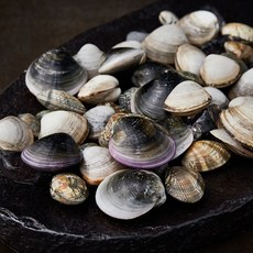 살맛나요 서해안 산지직송 대표 3종 모둠조개 바지락 + 모시조개 + 동죽조개 (냉장), 650g, 1개