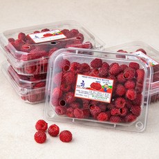 산지직송 상동농업협동조합 대포천 김해 산딸기, 250g, 4개