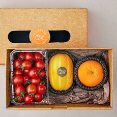 올프레쉬 제철과일 미니 선물세트 2호, 1세트