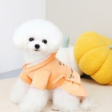 파스텔펫 반려동물 굿럭카라 원피스, 오렌지, 1개