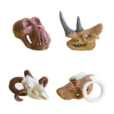 恐龍化石恐龍頭B, 混合顏色