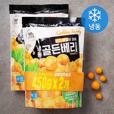 골든베리 (냉동), 450g, 2개