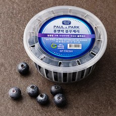 폴앤박 국산 블루베리, 100g, 1개