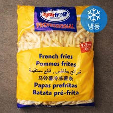 프렌치 프라이 9 x 9 mm (냉동), 2.5kg, 1개