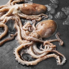 바다림 서해안 산지직송 생물 뻘 낙지 (냉장), 350g(소, 2~4미), 1개