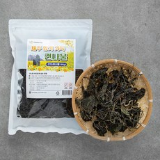 팜조아 제주 향기 가득 건나물 곤드레나물, 90g, 1개