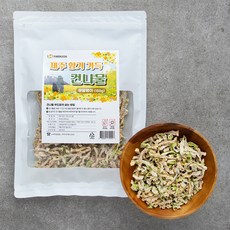 팜조아 제주 향기 가득 건나물 무말랭이, 150g, 1개