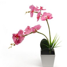 花盆造型LED裝飾燈, 05蝴蝶蘭粉色