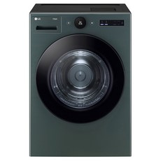 LG전자 트롬 오브제컬렉션 건조기 20kg 방문설치, RD20GS, 네이처 그린