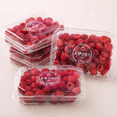 스윗킹 포항 하우스 산딸기, 250g, 4팩