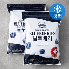 베리필드 캐나다산 블루베리 (냉동), 1kg, 2개