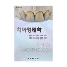 치아형태학, 지성출판사, 권은자 외