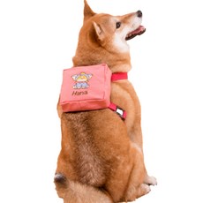 寵物戶外穿戴包L, 紅色, 1個