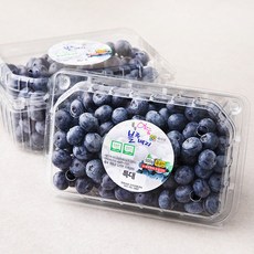 메이빌 영동 무농약 인증 블루베리, 500g(특대), 2개