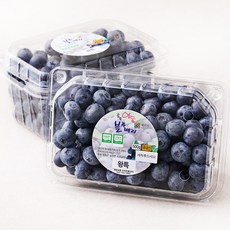 메이빌 영동 무농약 인증 블루베리, 500g(왕특), 2개