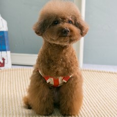 AMYLOVESPET 寵物豎條紋吊帶 Nasi All-in-One, 紅色