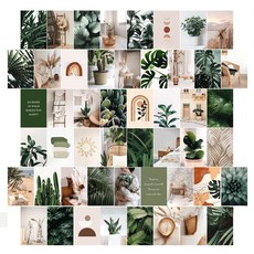 Artou 情感復古海報室內明信片50種+盒子+透明貼紙套組, 1套, 綠色花園（明信片）