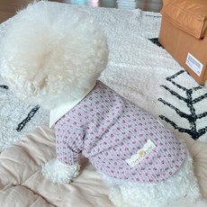 bydamsoomi 狗狗可愛領針織衫, 紫色