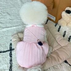 bydamsoomi 狗狗春季郊遊洋裝, 粉紅色