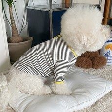 바이담수미 강아지 뉴트로 배색 티셔츠, 블랙, 1개