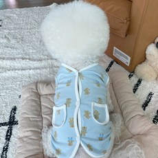 bydamsoomi 狗狗粉彩熊熊背心, 藍色