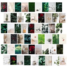 Atou Gamma 照片圖片內部卡片明信片套組 50 張, B, 1套