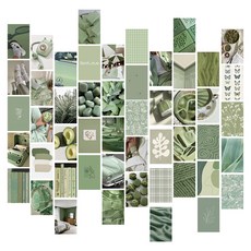 Atou Gamma 照片圖片內部卡片明信片套組 50 張, D, 1套