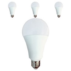 DOOYOUNG 照明 LED 高亮度球泡燈 20W 4入, 燈泡色, 1個