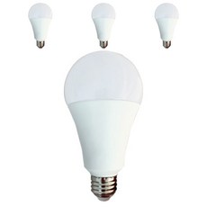 DOOYOUNG 照明 LED 高亮度球泡燈 20W 4入, 晝光色, 1個