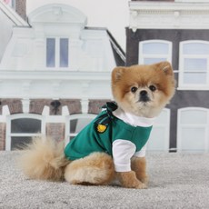 AMYLOVESPET 狗狗殭屍校園校服T恤, 混合色