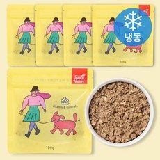 테이스트오브네이쳐 강아지 화식사료 냉동, 소, 5개