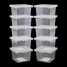 椰子迷你籠, 10個, 單一顏色