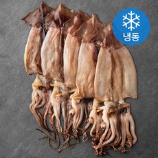 해선생 포항시인증 산지직송 하루 전날 말린 반건조 오징어 원양산 (냉동), 500g(5미), 1개