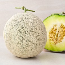 에스엠지푸드 국내산 저탄소 인증 진천 머스크 메론, 1.6kg, 1개